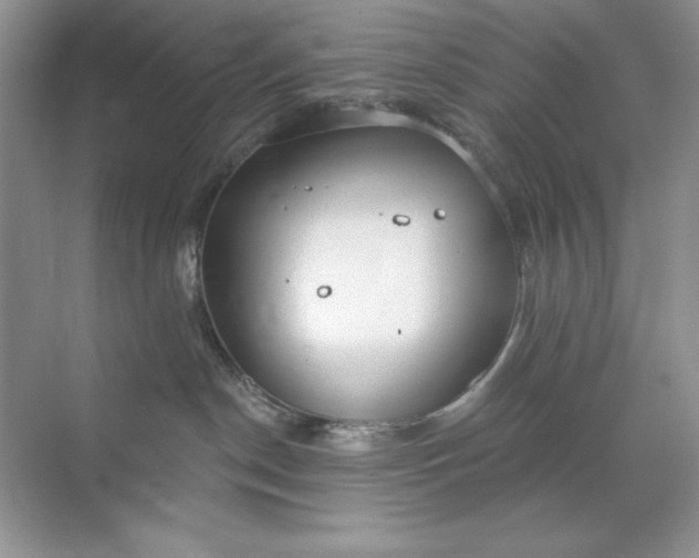 X0000071960190200607212302