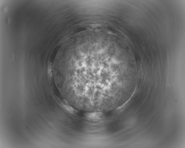 X0000071960191200607212302