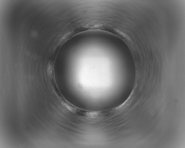 X0000071960192200607212302