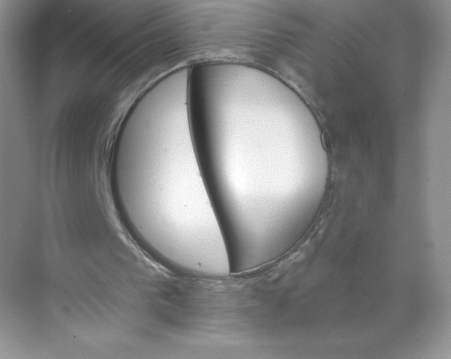 X0000071960193200607212301