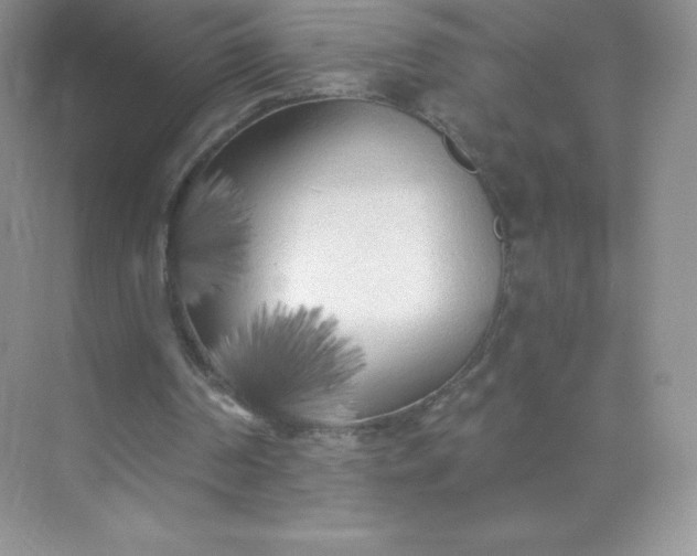 X0000071960194200607212301