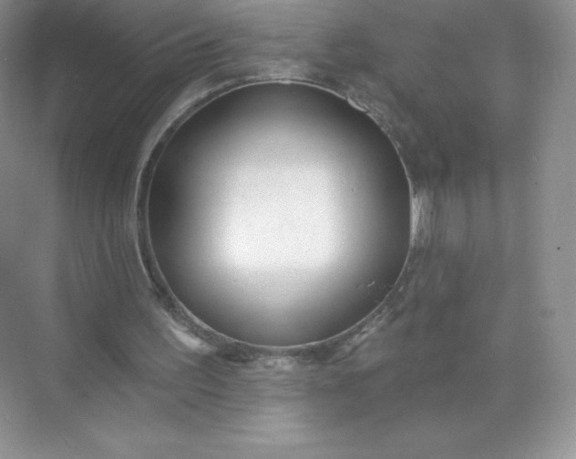 X0000071960195200607212301