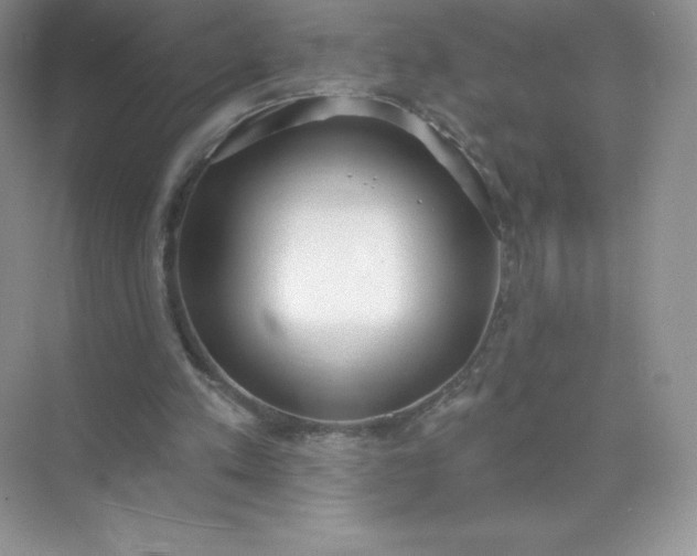 X0000071960197200607212301