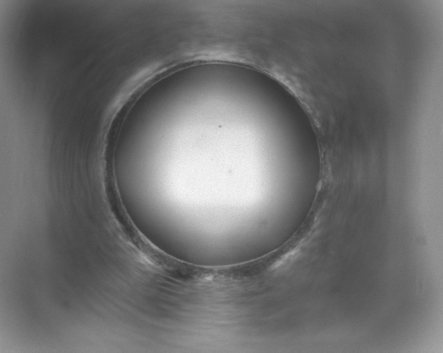 X0000071960199200607212301