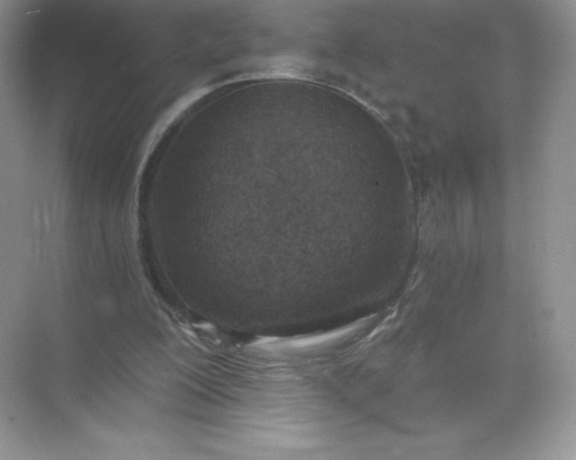 X0000071960200200607212301