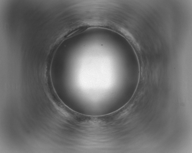 X0000071960201200607212301