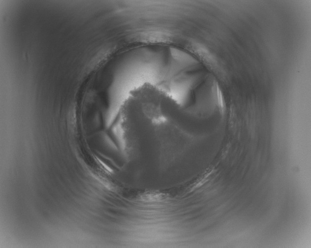 X0000071960202200607212301