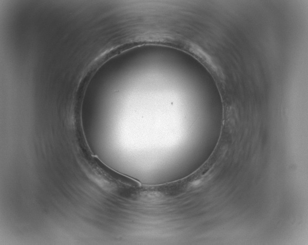 X0000071960203200607212301