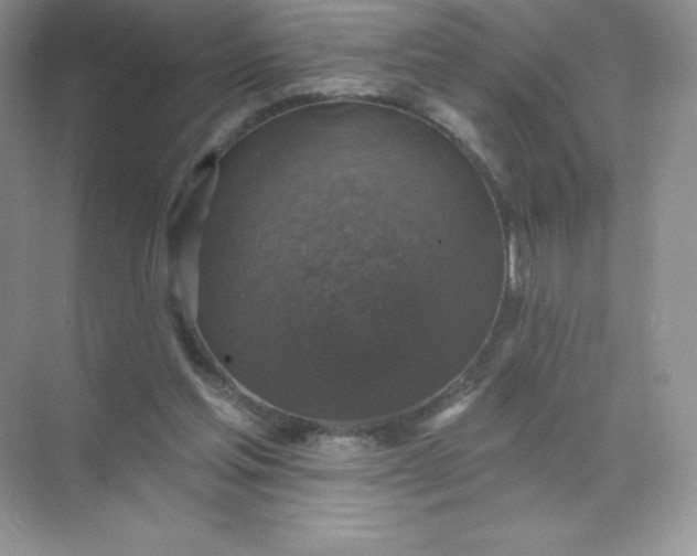 X0000071960205200607212301