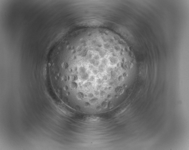 X0000071960206200607212301