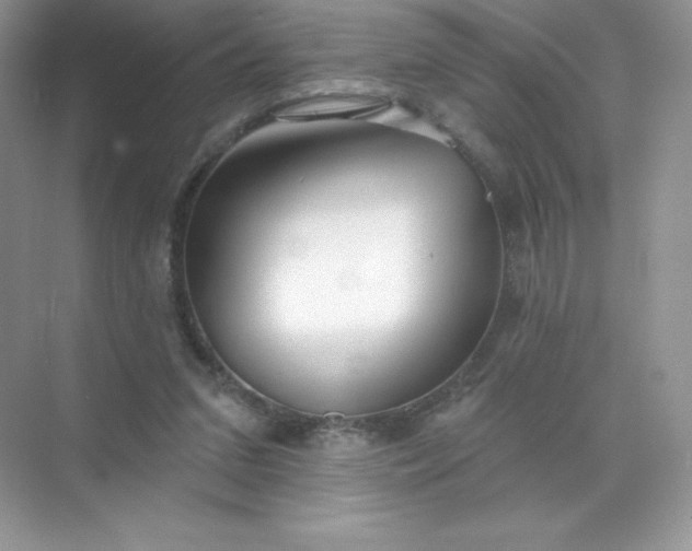 X0000071960207200607212301