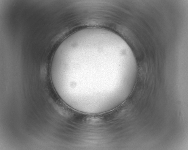 X0000071960208200607212301