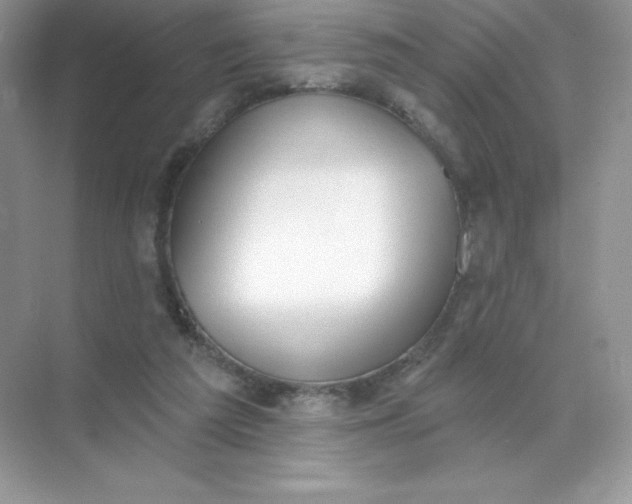 X0000071960209200607212301