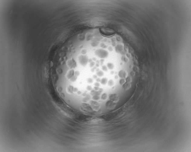 X0000071960210200607212301