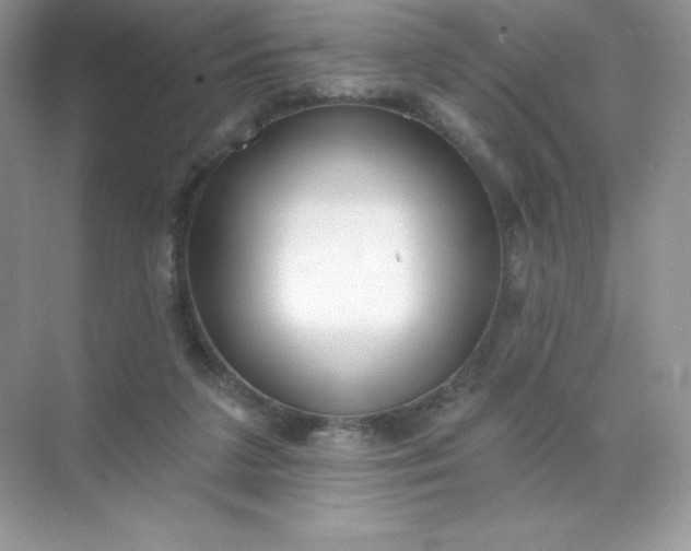 X0000071960211200607212301