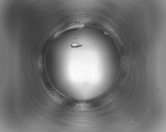 X0000071960212200607212301