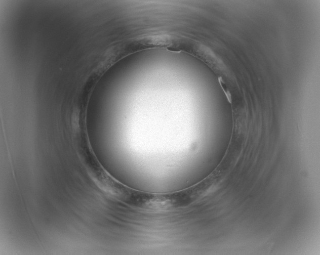 X0000071960213200607212301