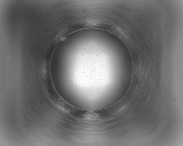 X0000071960215200607212301