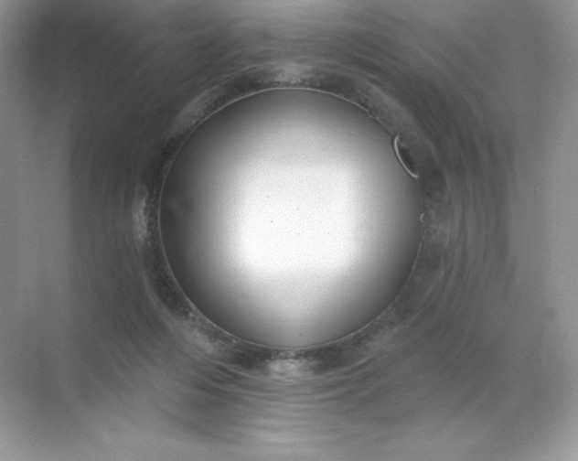 X0000071960216200607212301