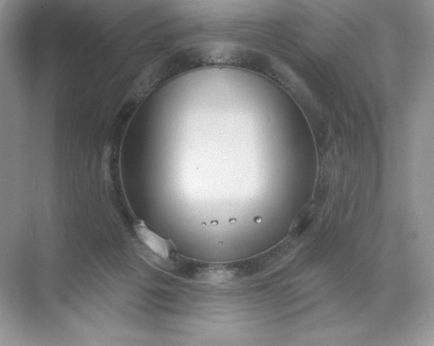 X0000071960217200607212301