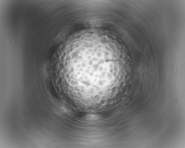 X0000071960218200607212301