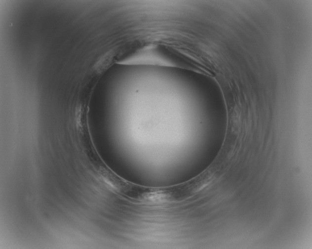 X0000071960219200607212300