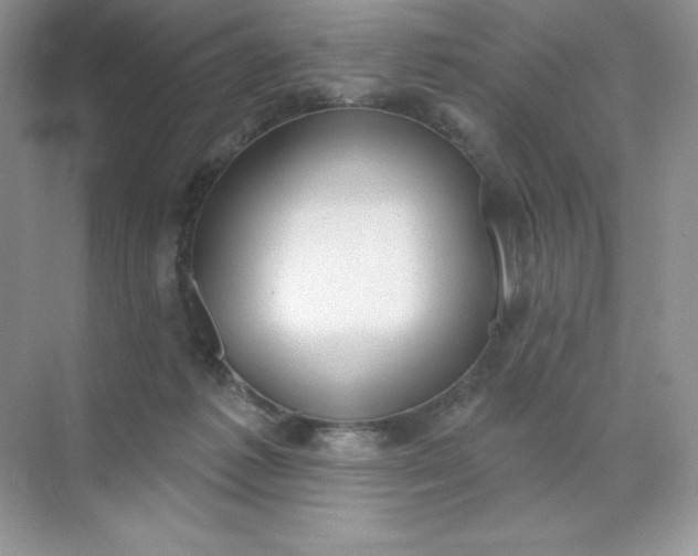 X0000071960221200607212300