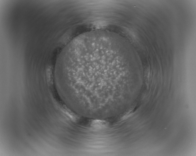 X0000071960222200607212300