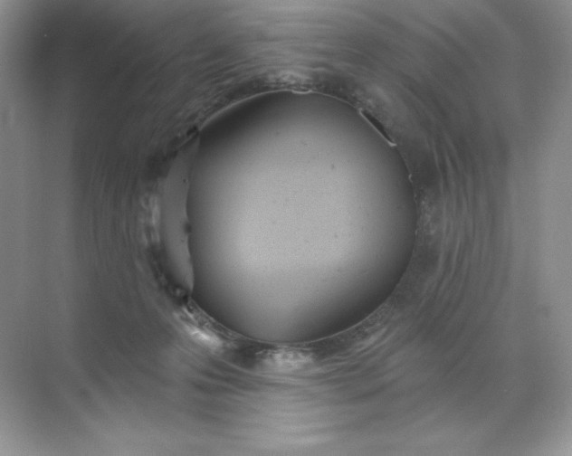 X0000071960223200607212300