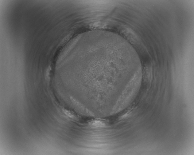 X0000071960224200607212300