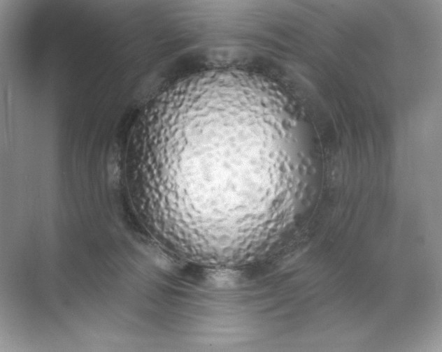 X0000071960226200607212300