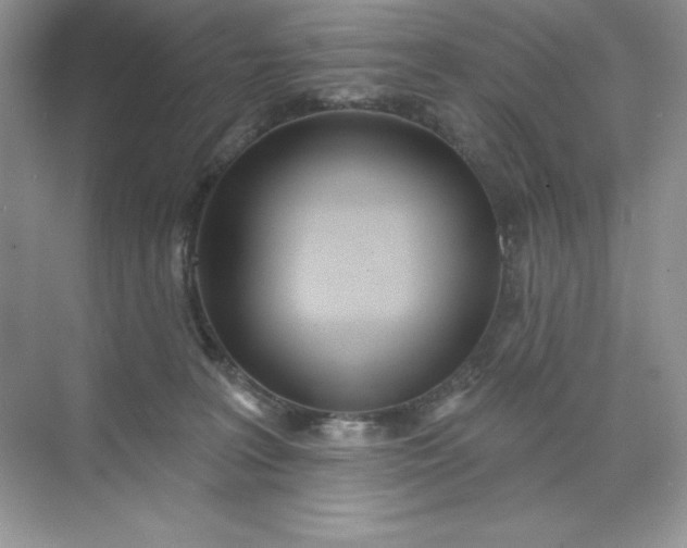 X0000071960227200607212300