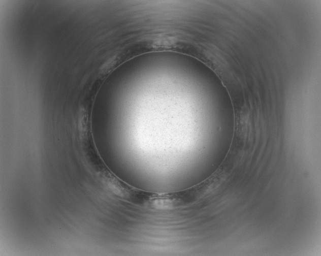 X0000071960228200607212300