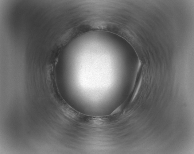 X0000071960229200607212300