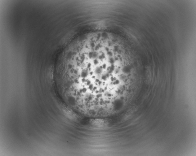 X0000071960230200607212300