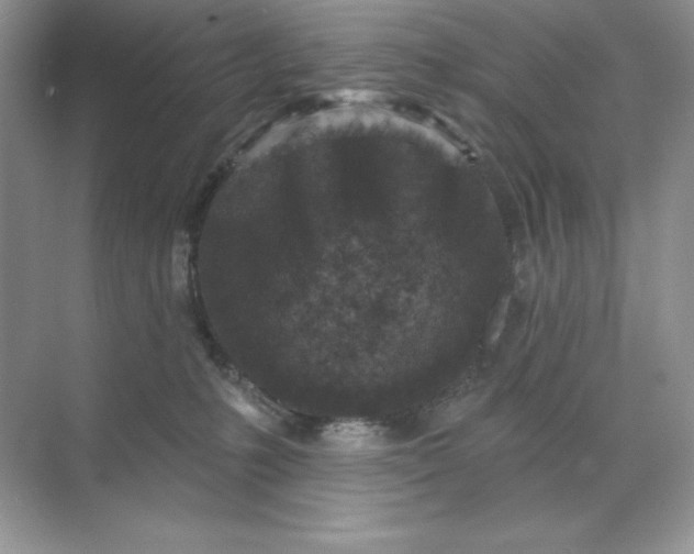 X0000071960231200607212300