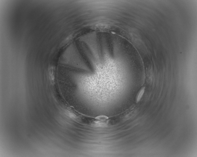 X0000071960232200607212300