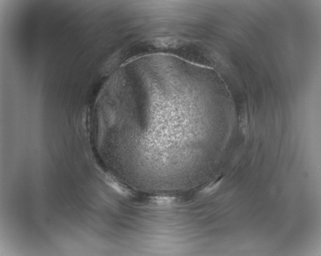 X0000071960233200607212300