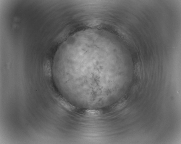 X0000071960234200607212300