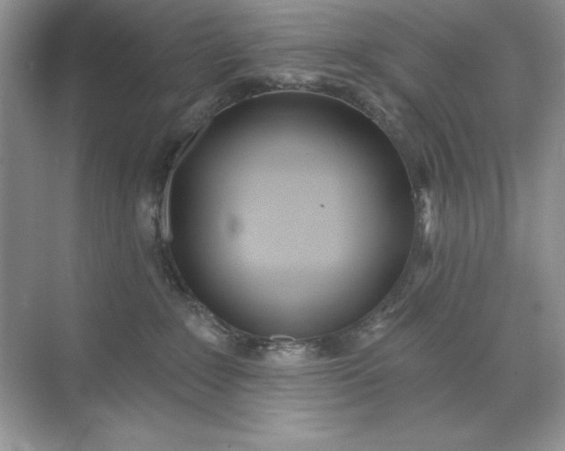 X0000071960235200607212300