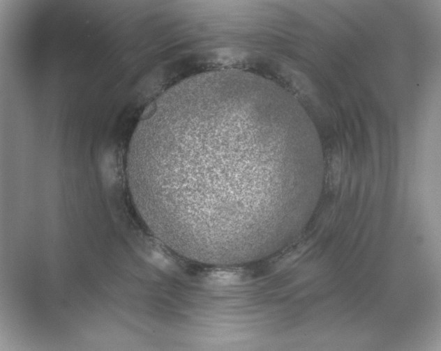 X0000071960236200607212300