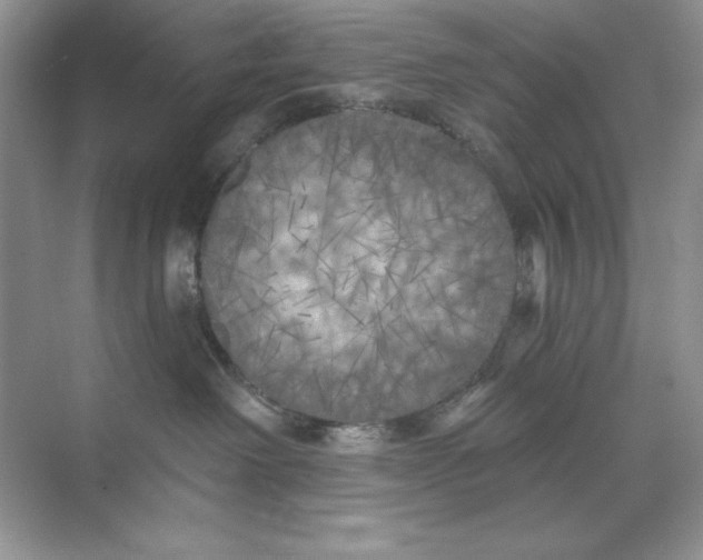 X0000071960238200607212300