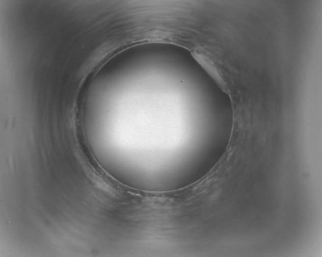 X0000071960242200607212259