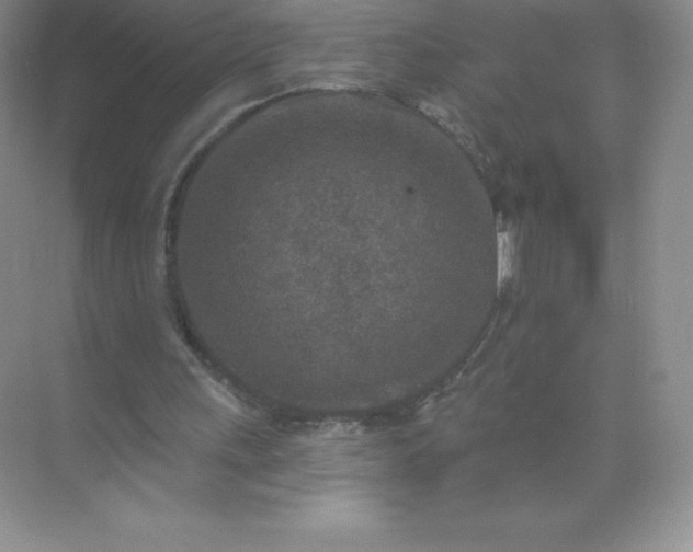 X0000071960243200607212259