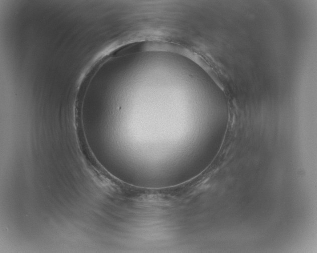 X0000071960244200607212259