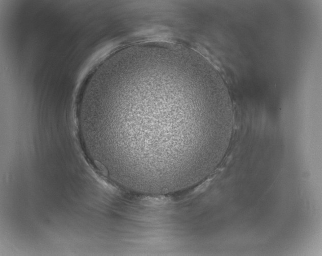 X0000071960245200607212259