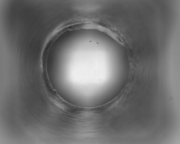 X0000071960246200607212259