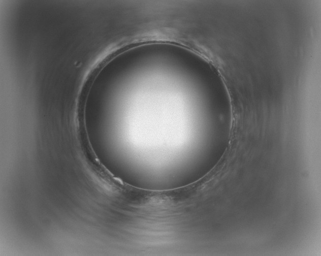 X0000071960248200607212259