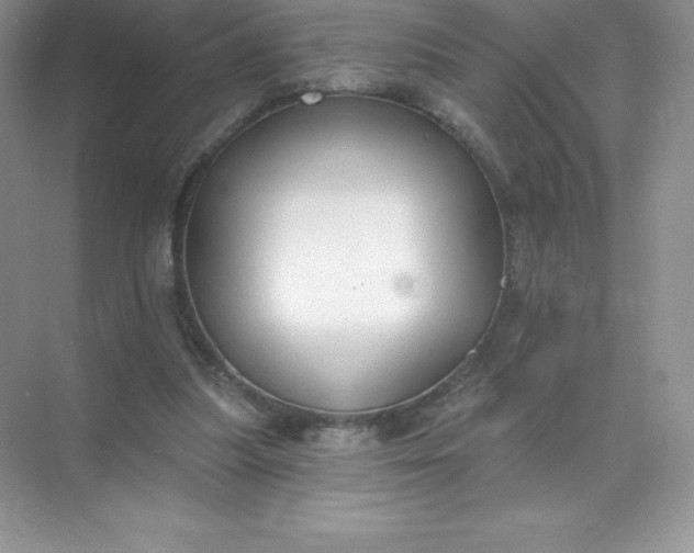 X0000071960251200607212300