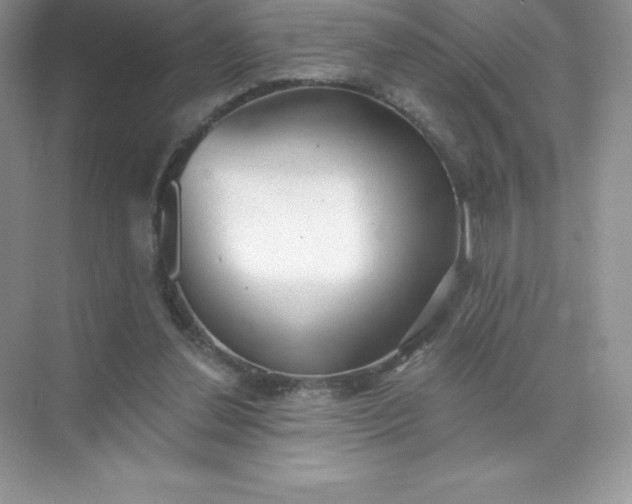 X0000071960252200607212300